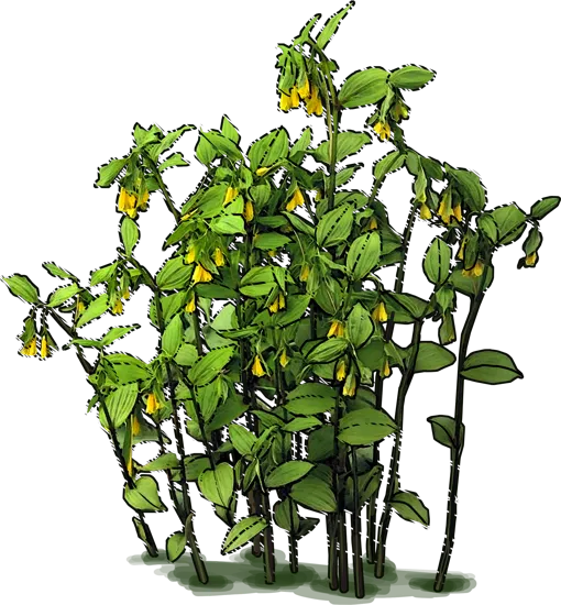 Roślina - Parnik żółty
