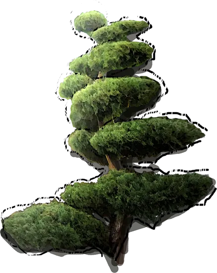 Roślina - Jałowiec wirginijski Tripartita bonsai